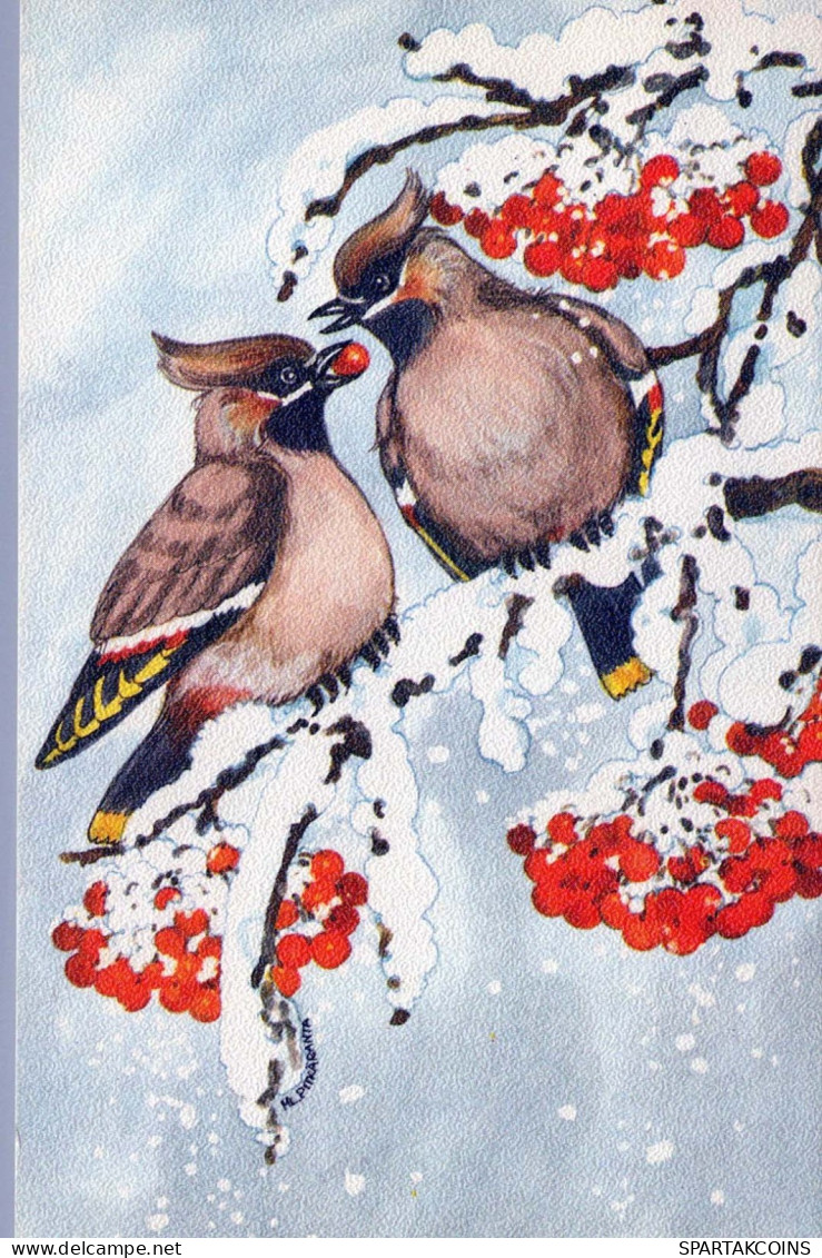 OISEAU Animaux Vintage Carte Postale CPA #PKE799.FR - Pájaros