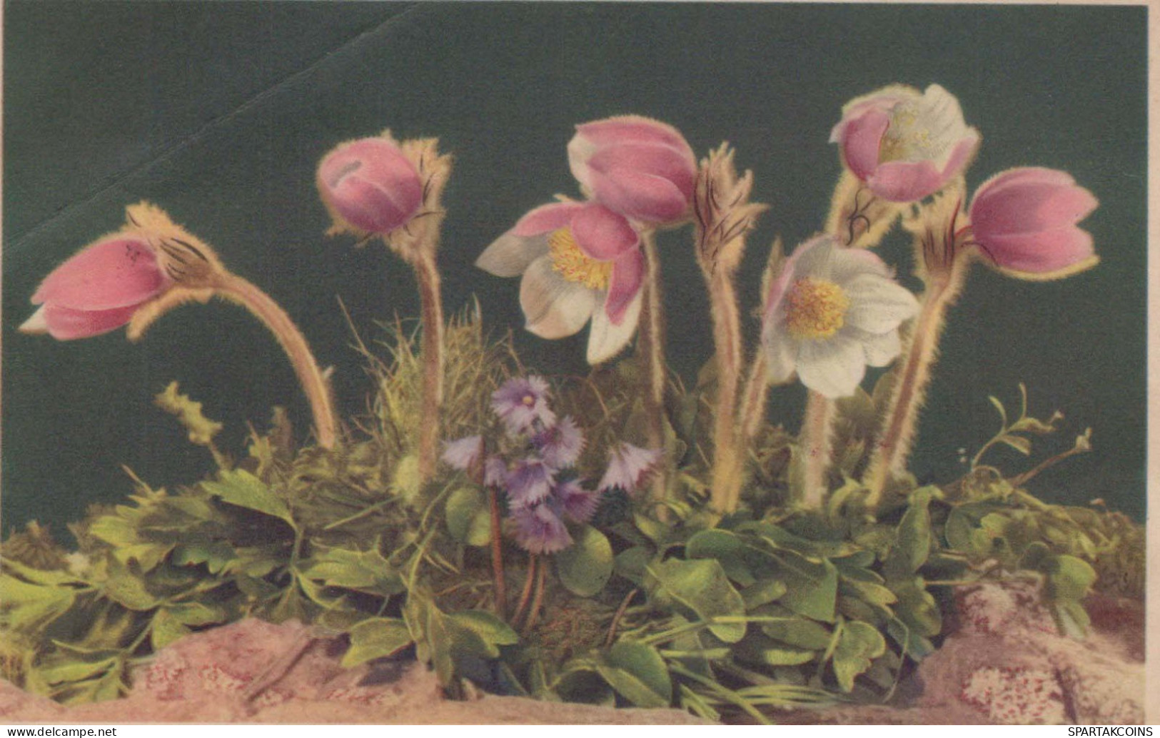 FLEURS Vintage Carte Postale CPA #PKE612.FR - Flowers