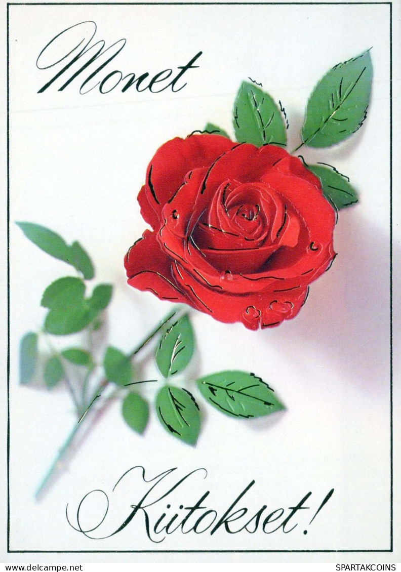 FLEURS Vintage Carte Postale CPSM #PBZ557.FR - Flowers