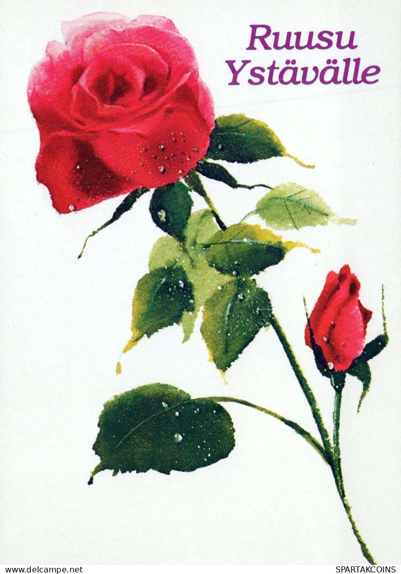 FLEURS Vintage Carte Postale CPSM #PBZ497.FR - Fleurs