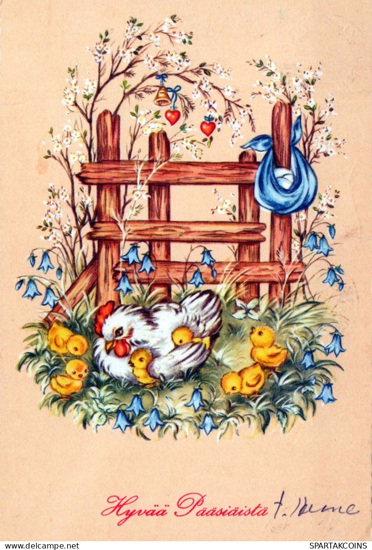 PÂQUES POULET ŒUF Vintage Carte Postale CPSM #PBO787.FR - Easter