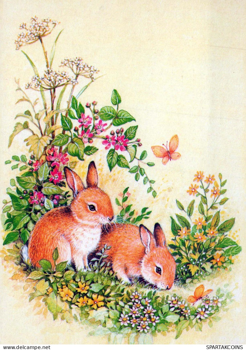 PÂQUES LAPIN Vintage Carte Postale CPSM #PBO538.FR - Ostern