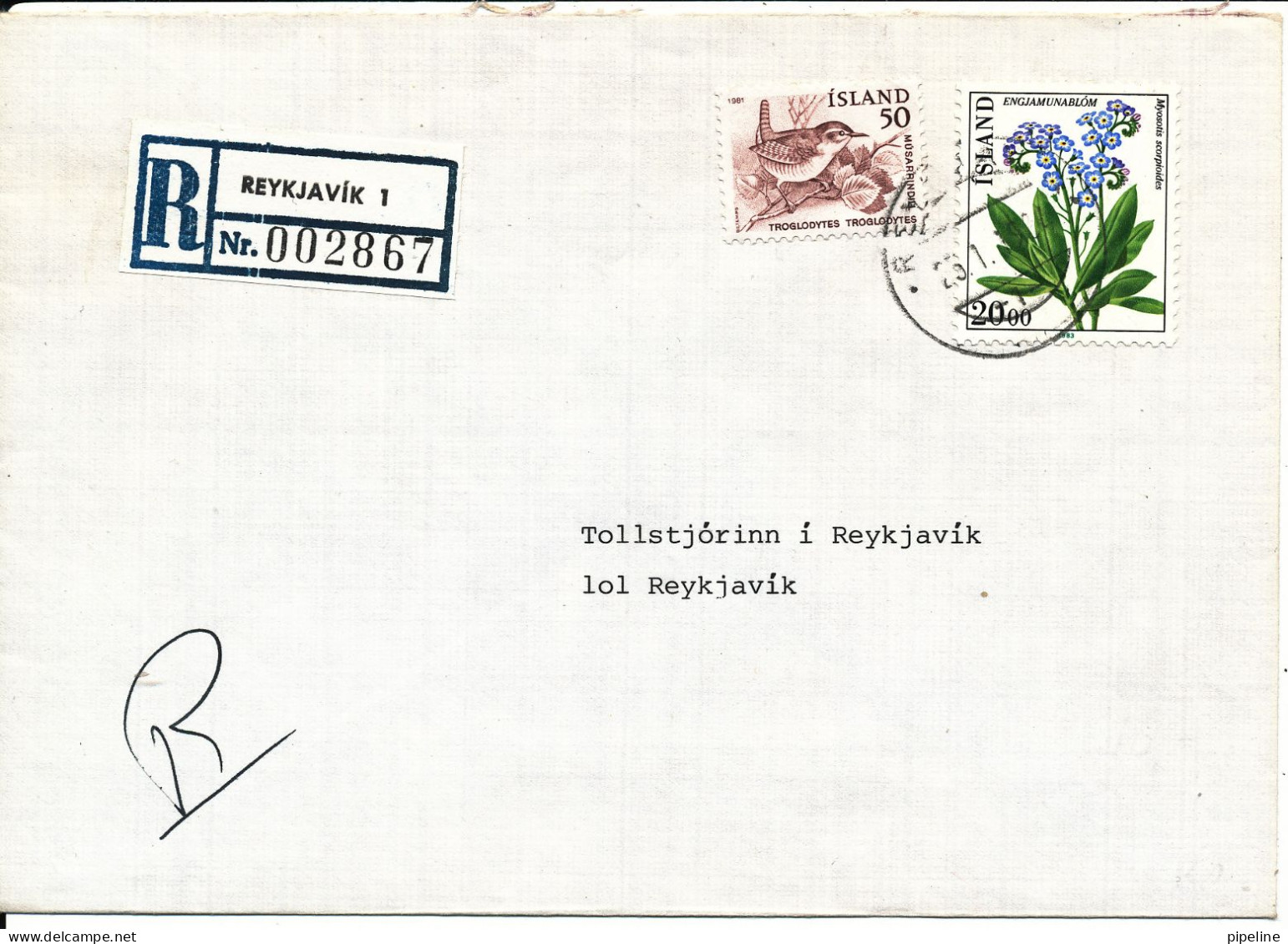 Iceland Registered Cover Reykjavik 1 25-1-1984 Flower And BIRD On The Stamps - Brieven En Documenten