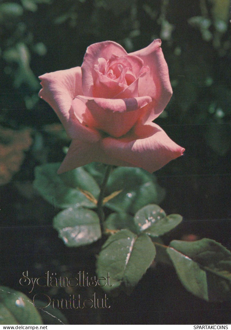 FLEURS Vintage Carte Postale CPSM #PAS270.FR - Flowers
