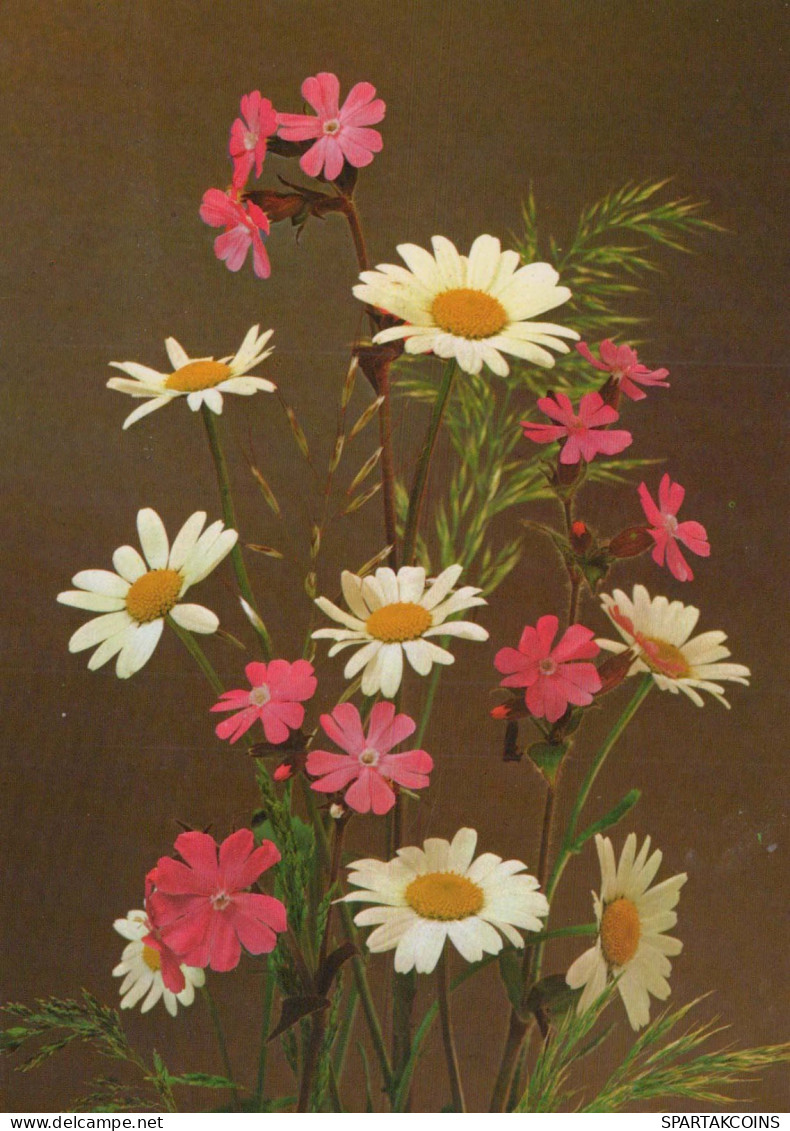 FLEURS Vintage Carte Postale CPSM #PAR248.FR - Fleurs