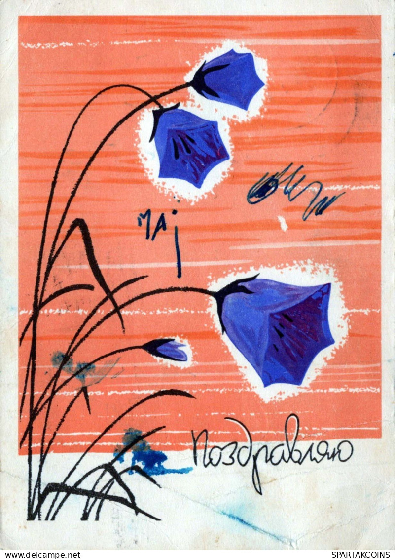 FLEURS Vintage Carte Postale CPSM #PAR429.FR - Flowers