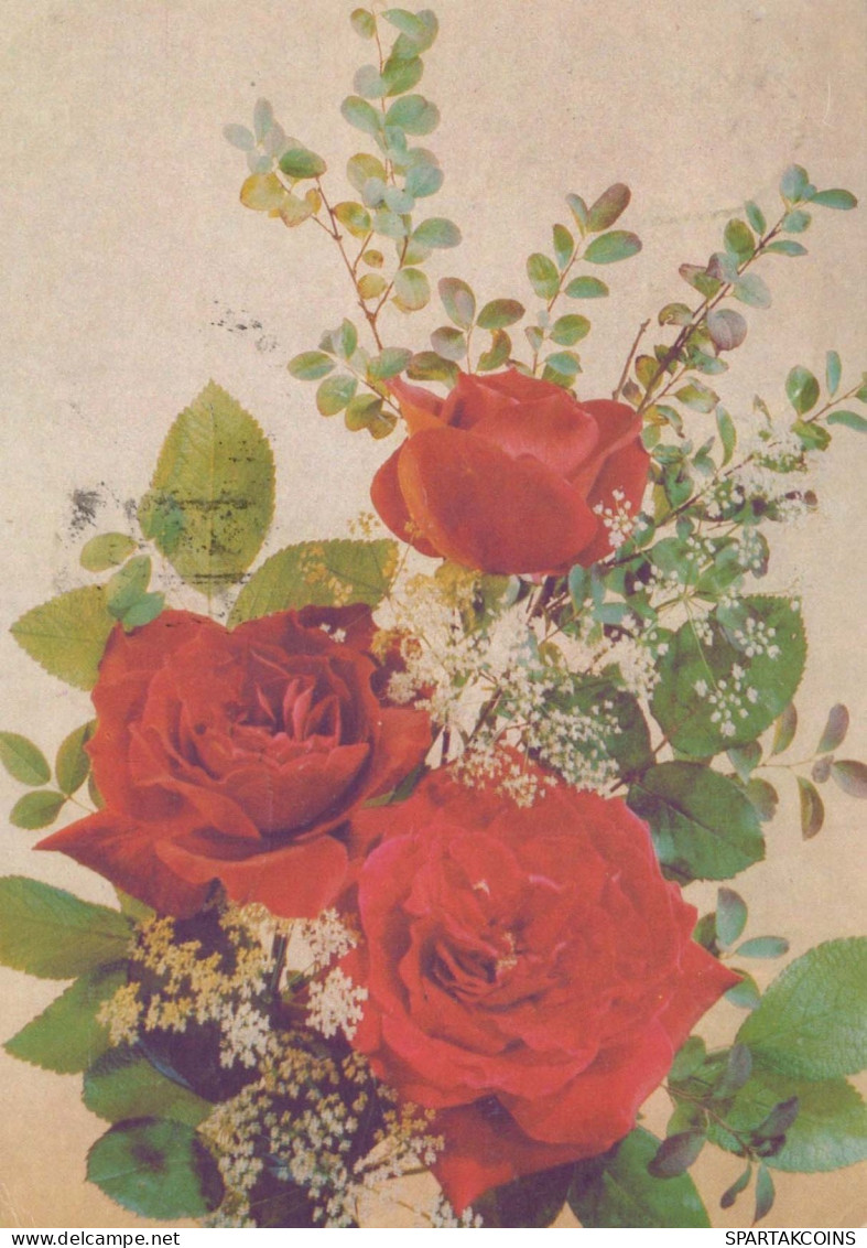FLEURS Vintage Carte Postale CPSM #PAR729.FR - Flowers