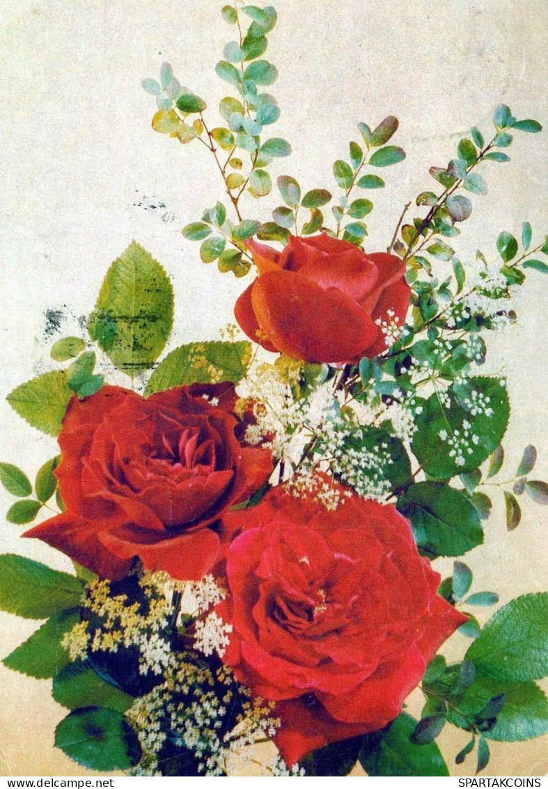 FLEURS Vintage Carte Postale CPSM #PAR729.FR - Blumen