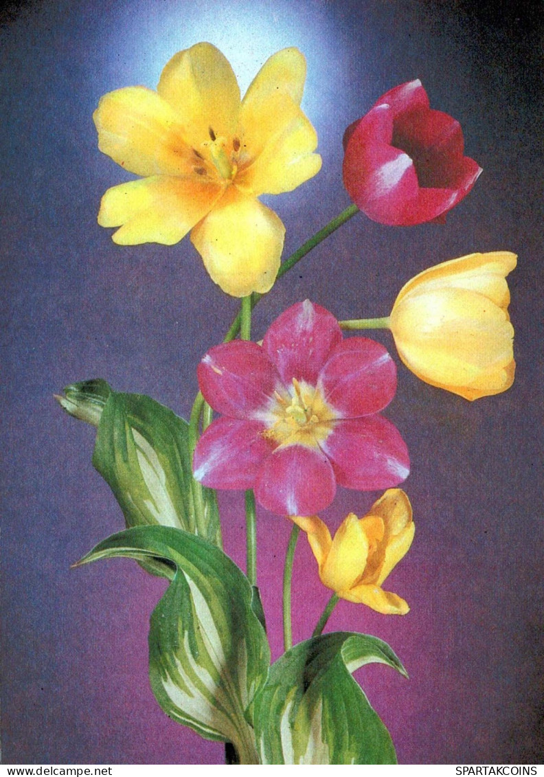 FLEURS Vintage Carte Postale CPSM #PAR128.FR - Blumen