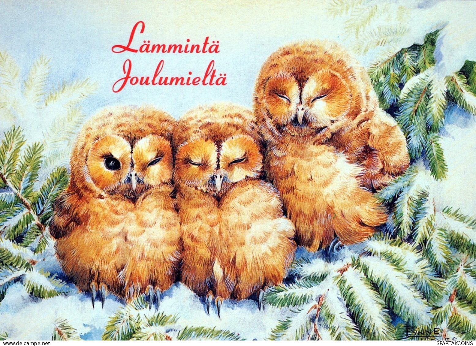 OISEAU Animaux Vintage Carte Postale CPSM #PAM738.FR - Oiseaux