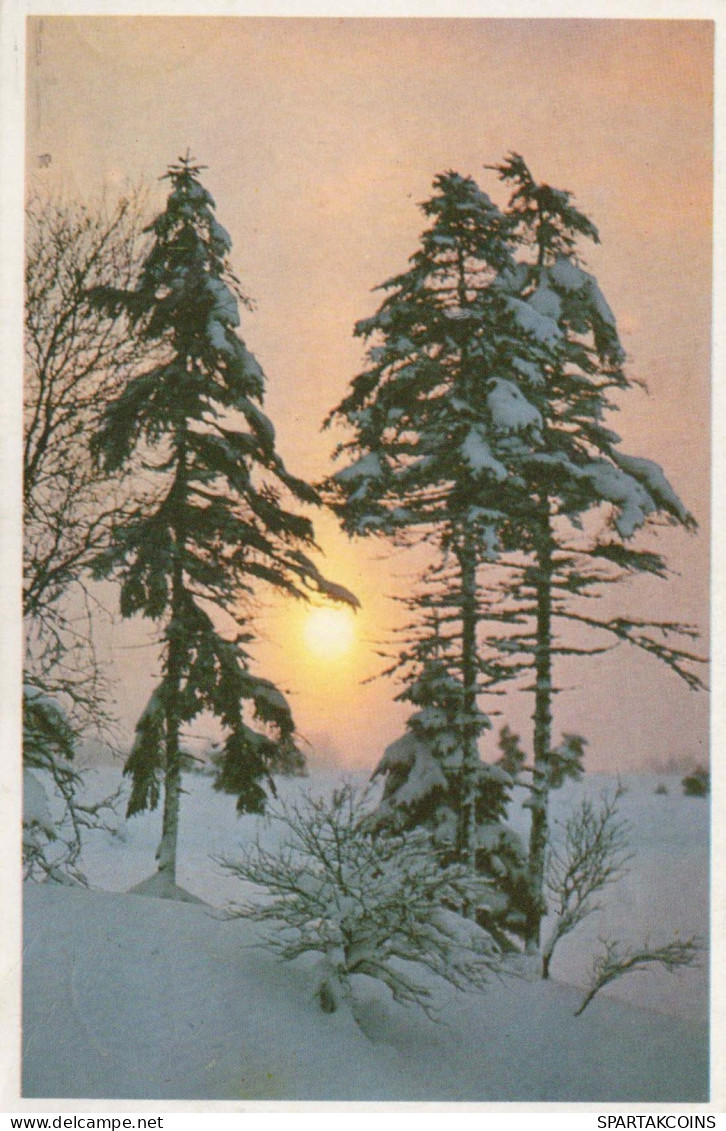 Happy New Year Christmas Vintage Postcard CPSMPF #PKG274.GB - Nieuwjaar