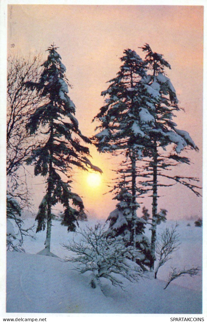 Happy New Year Christmas Vintage Postcard CPSMPF #PKG274.GB - Nieuwjaar