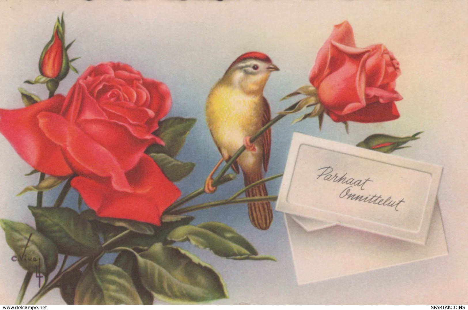 FLOWERS Vintage Postcard CPSMPF #PKG093.GB - Bloemen