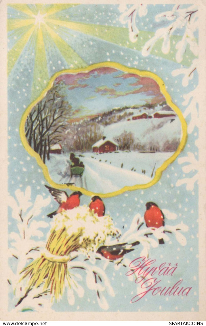 Happy New Year Christmas BIRD Vintage Postcard CPA #PKE858.GB - Nieuwjaar