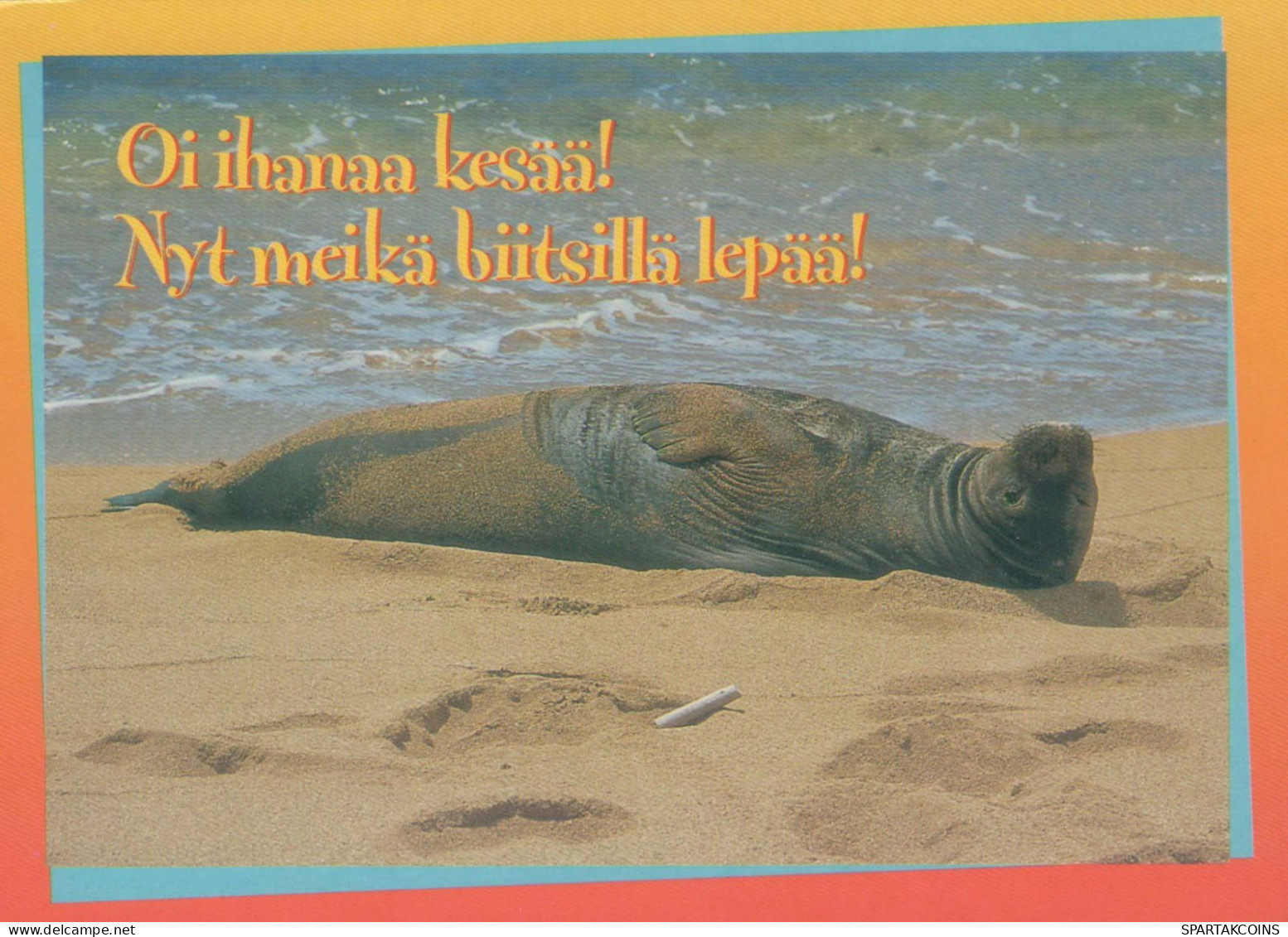 SEAL Animals Vintage Postcard CPSM #PBS646.GB - Autres & Non Classés