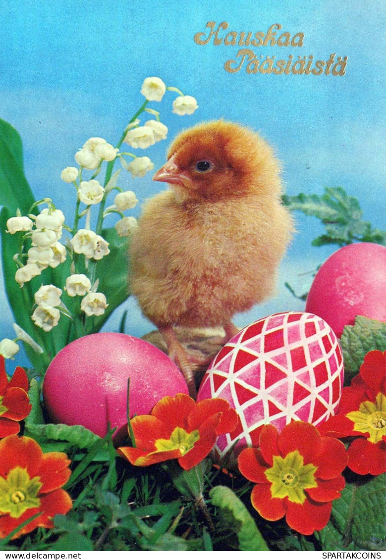 EASTER CHICKEN EGG Vintage Postcard CPSM #PBP102.GB - Ostern