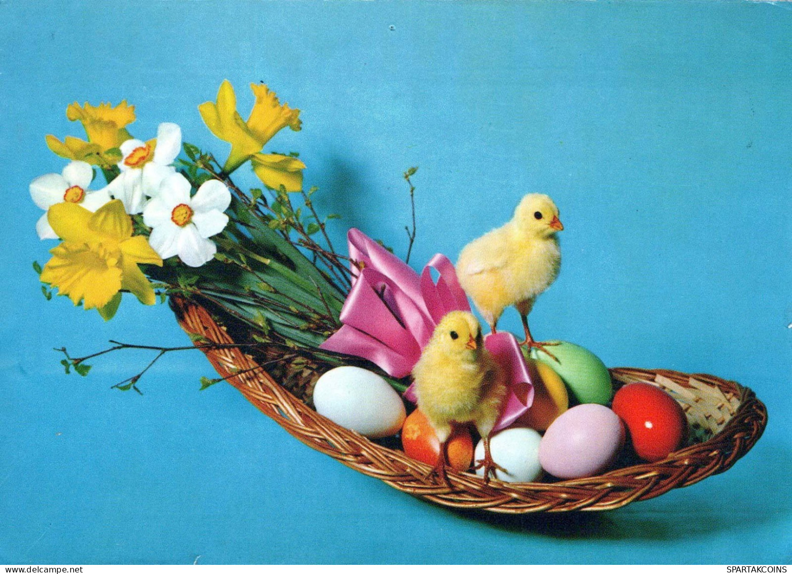 EASTER CHICKEN EGG Vintage Postcard CPSM #PBO911.GB - Easter