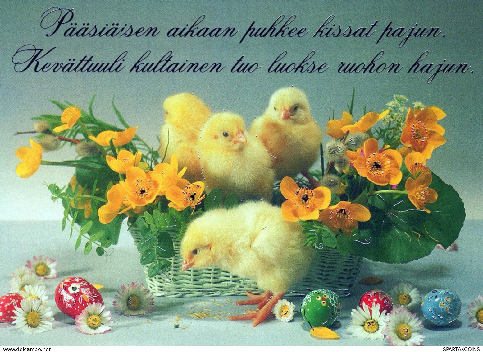 EASTER CHICKEN Vintage Postcard CPSM #PBO973.GB - Pasen