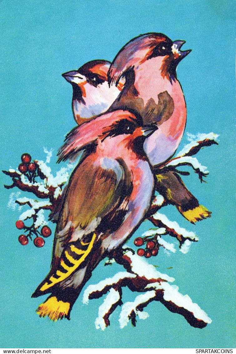 Happy New Year Christmas BIRD Vintage Postcard CPSM #PBM653.GB - New Year