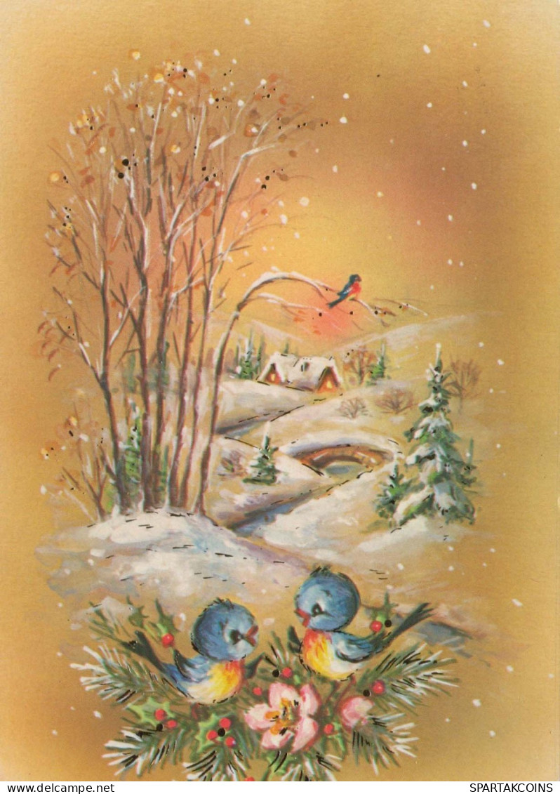 Happy New Year Christmas BIRD Vintage Postcard CPSM #PBM593.GB - Nieuwjaar
