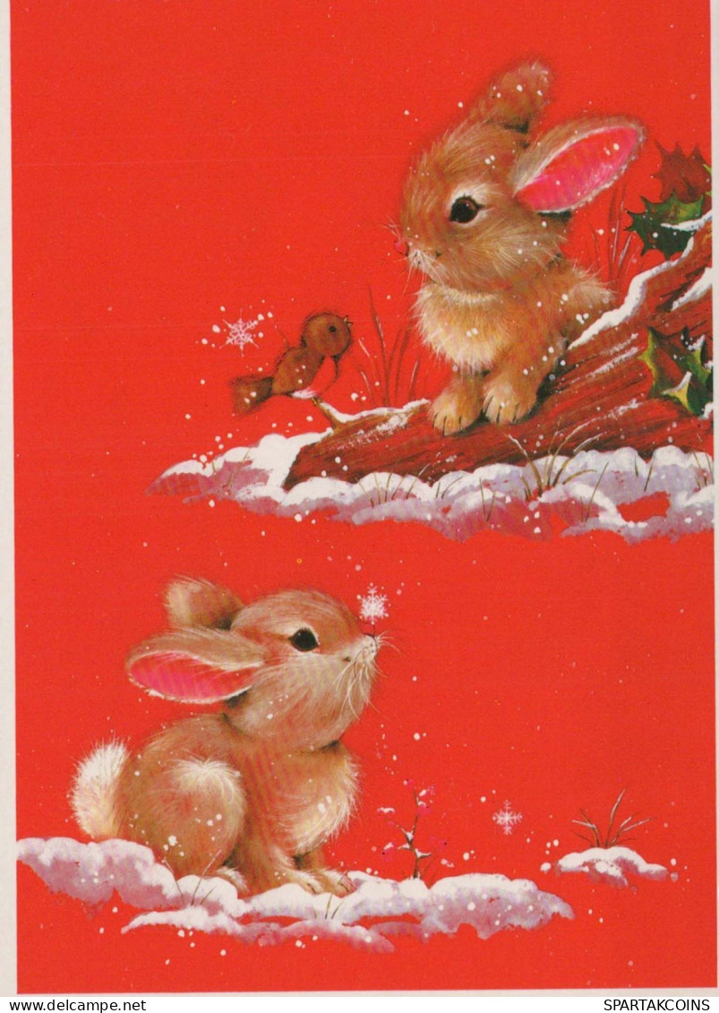 Happy New Year Christmas RABBIT Vintage Postcard CPSM #PAV258.GB - Neujahr