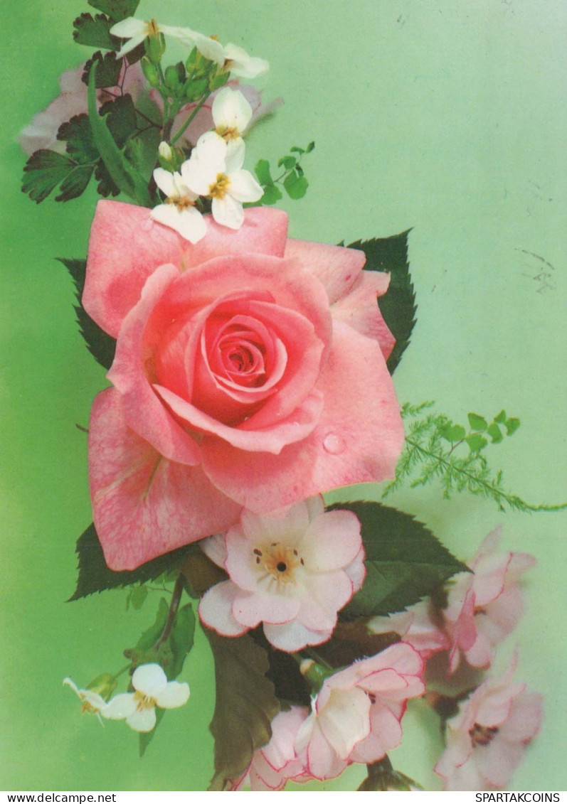 FLOWERS Vintage Postcard CPSM #PAS208.GB - Flowers