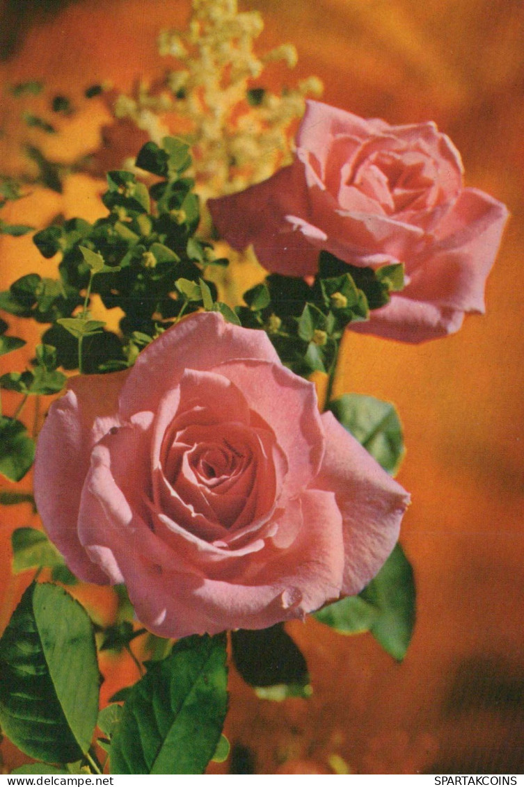 FLOWERS Vintage Postcard CPSM #PAS088.GB - Flowers