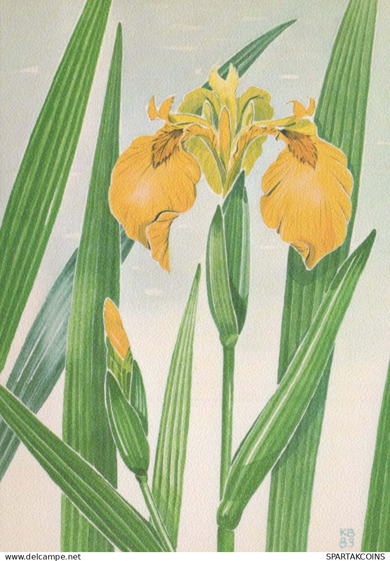 FLOWERS Vintage Postcard CPSM #PAR487.GB - Bloemen
