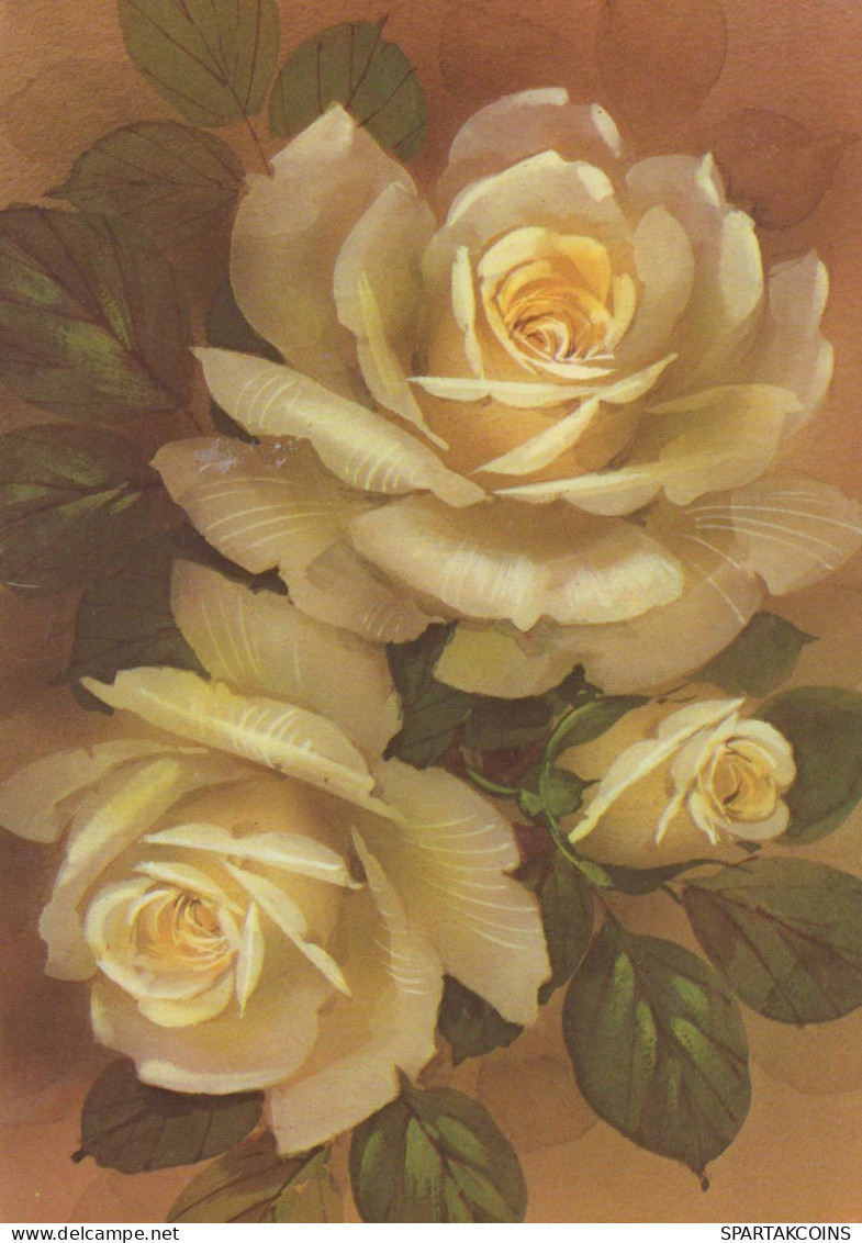 FLOWERS Vintage Postcard CPSM #PAS028.GB - Fleurs