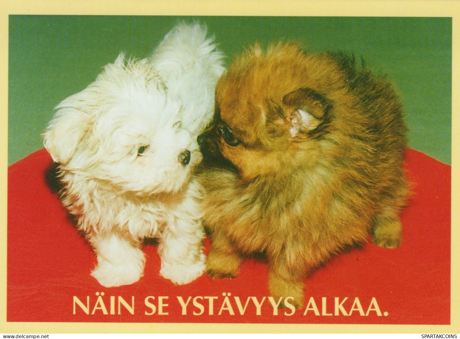 DOG Animals Vintage Postcard CPSM #PAN675.GB - Dogs