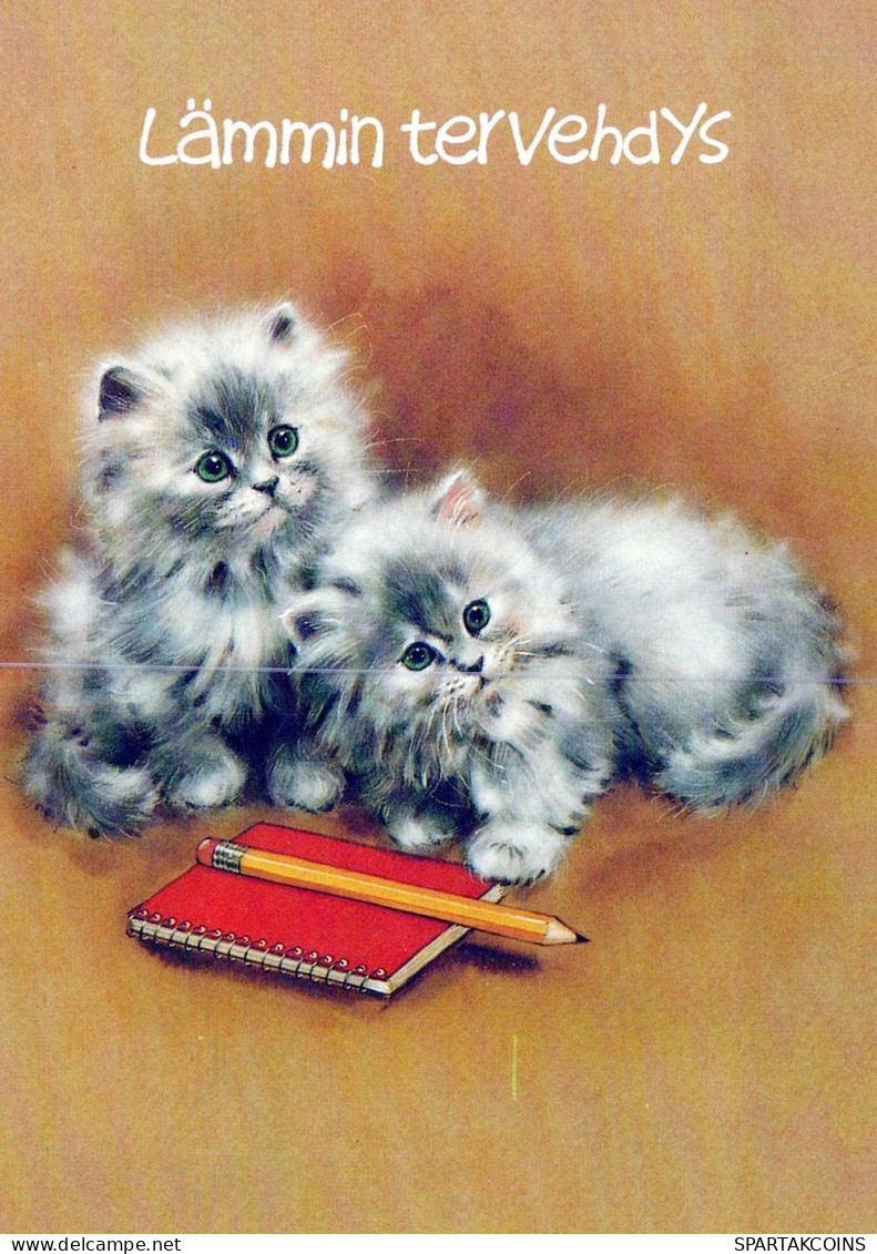 CAT KITTY Animals Vintage Postcard CPSM #PAM290.GB - Katten