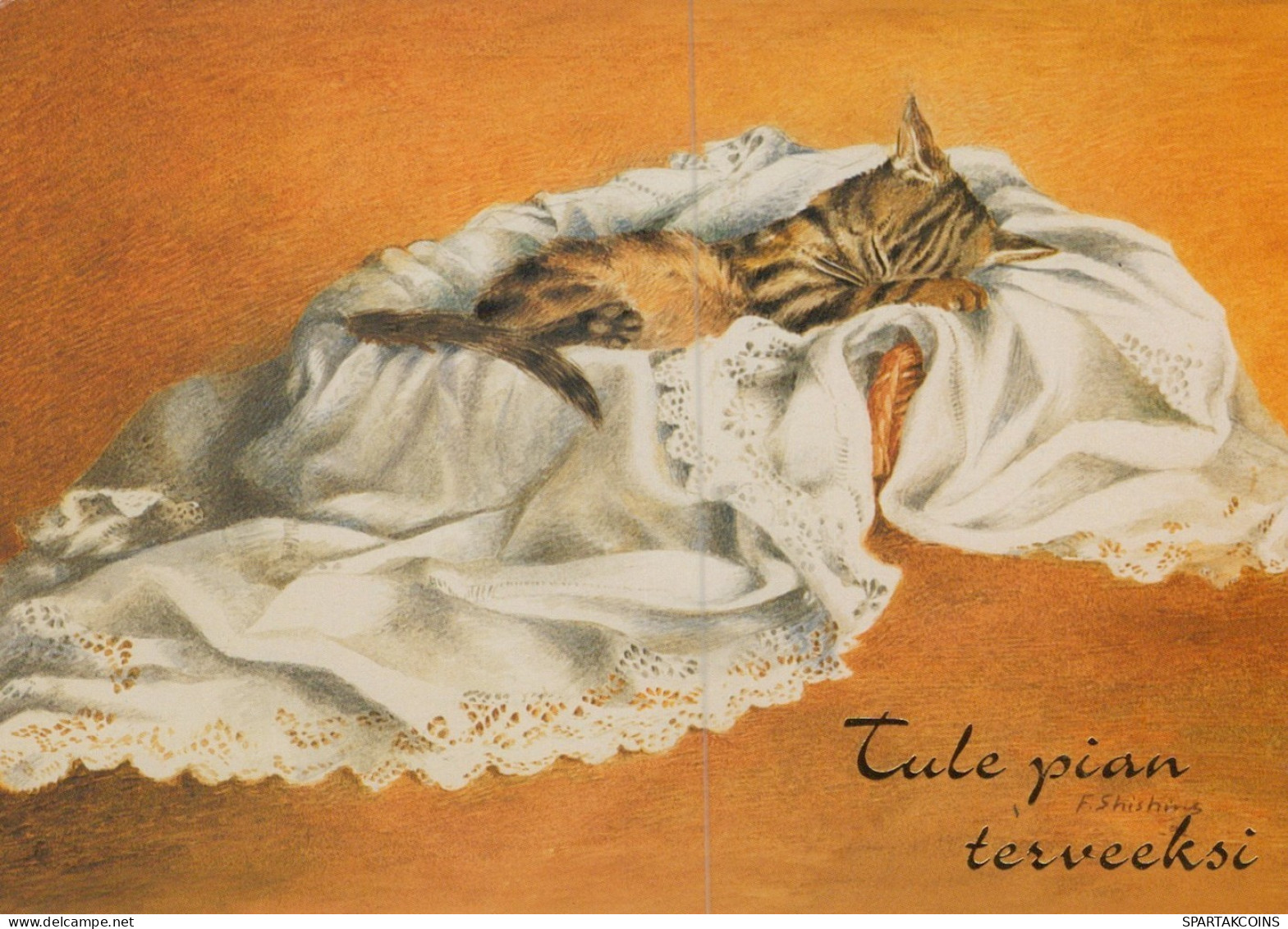 CAT KITTY Animals Vintage Postcard CPSM Unposted #PAM354.GB - Katzen