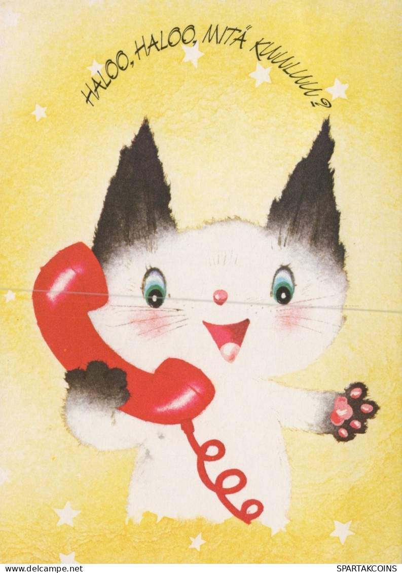 CAT KITTY Animals Vintage Postcard CPSM #PAM229.GB - Katten