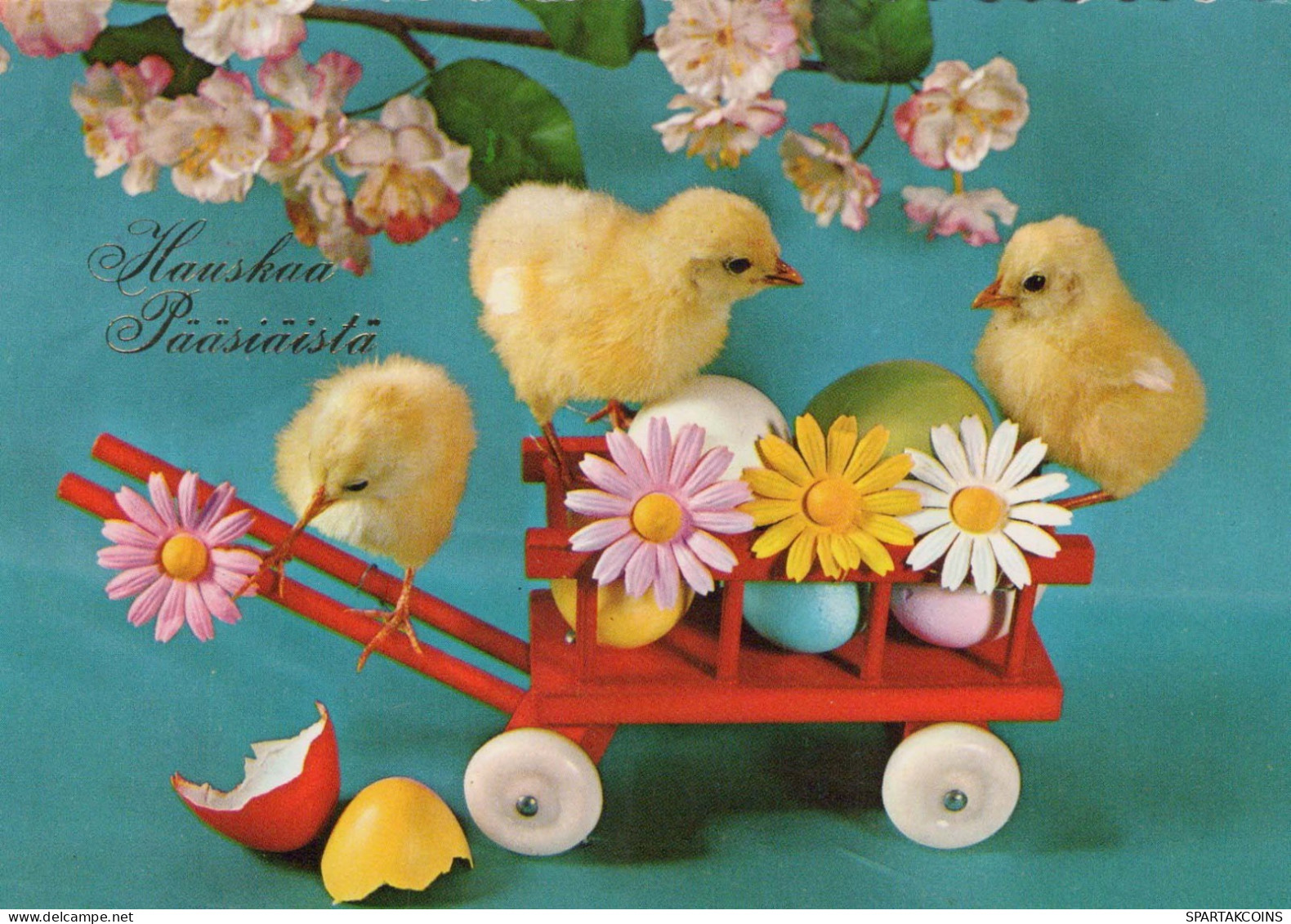 PASQUA POLLO UOVO Vintage Cartolina CPSM #PBO915.IT - Ostern