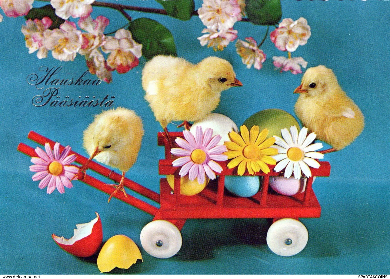 PASQUA POLLO UOVO Vintage Cartolina CPSM #PBO915.IT - Easter