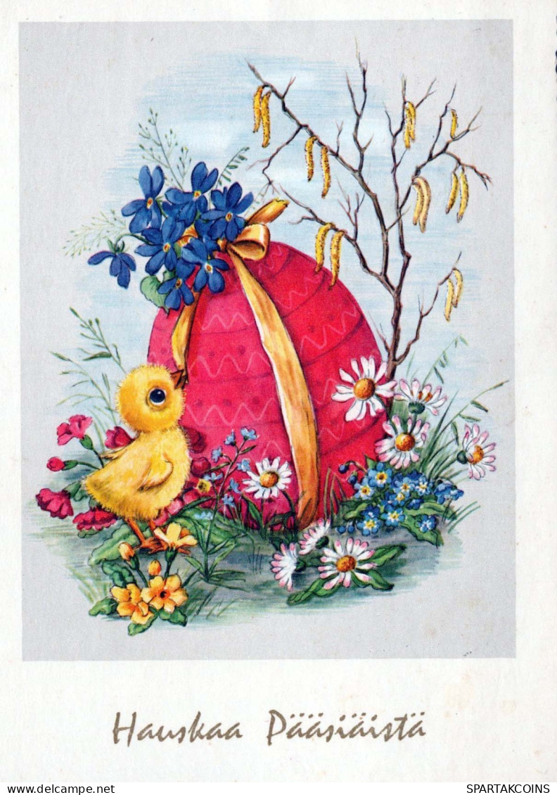 PASQUA POLLO UOVO Vintage Cartolina CPSM #PBP045.IT - Easter