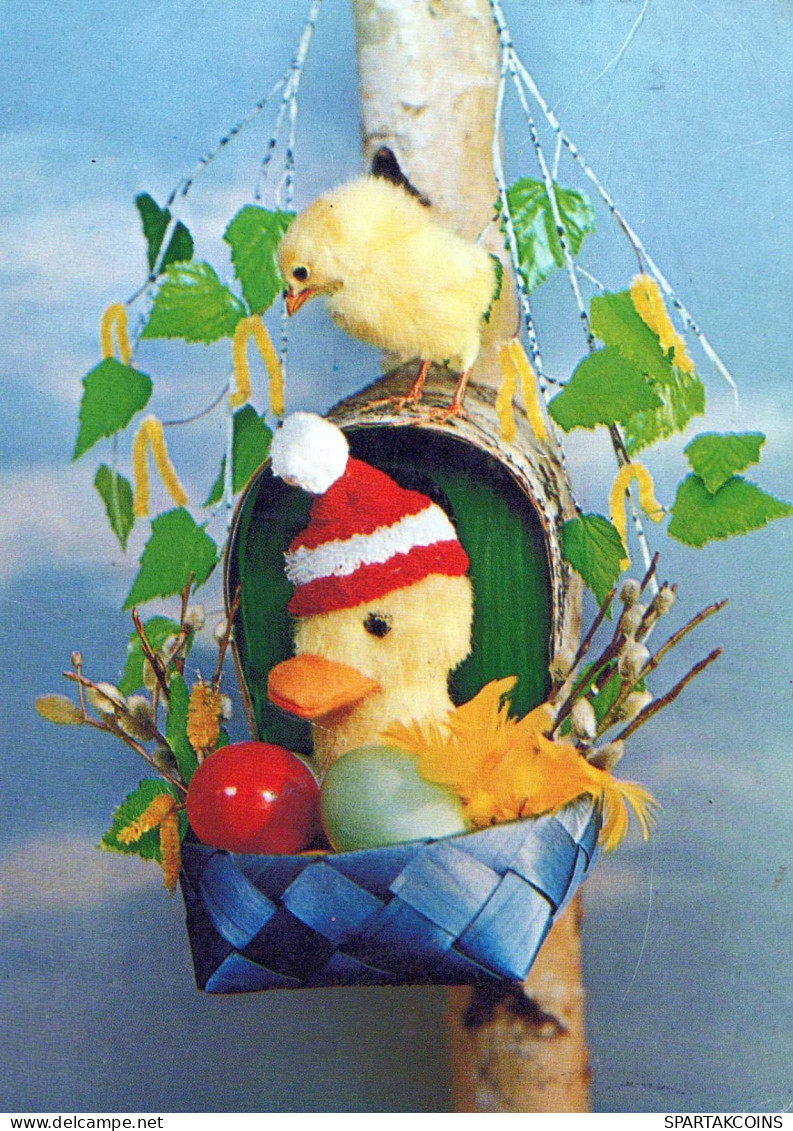 PASQUA UOVO Vintage Cartolina CPSM #PBO221.IT - Easter