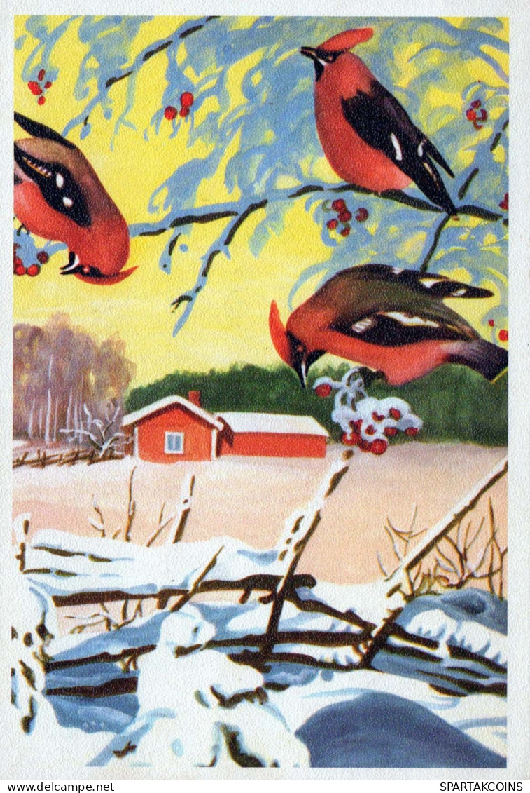 Buon Anno Natale UCCELLO Vintage Cartolina CPSM #PBM597.IT - Nieuwjaar