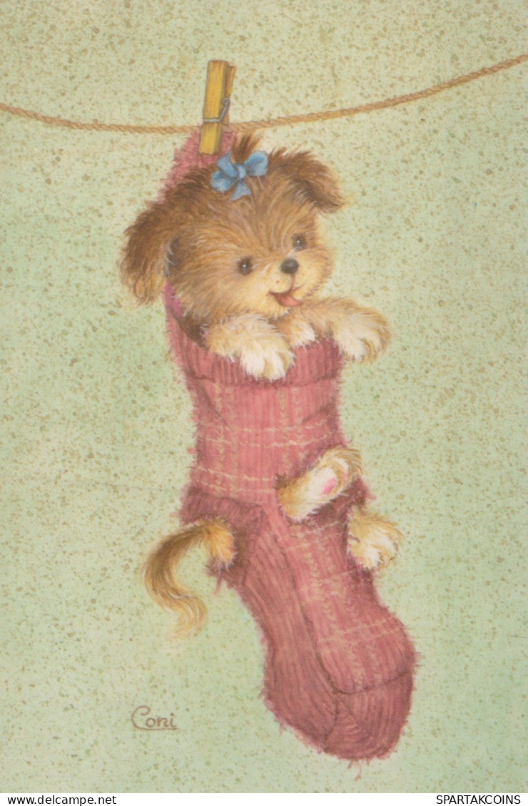 CANE Animale Vintage Cartolina CPSM #PAN812.IT - Hunde
