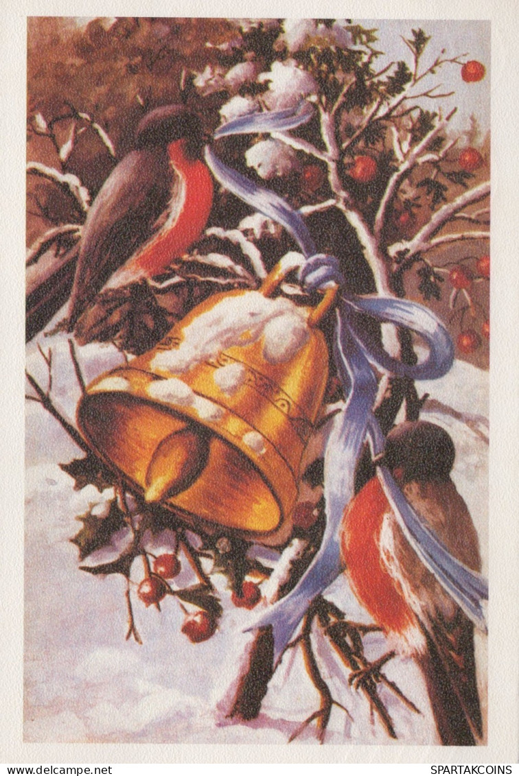 UCCELLO Animale Vintage Cartolina CPSM #PAM925.IT - Birds