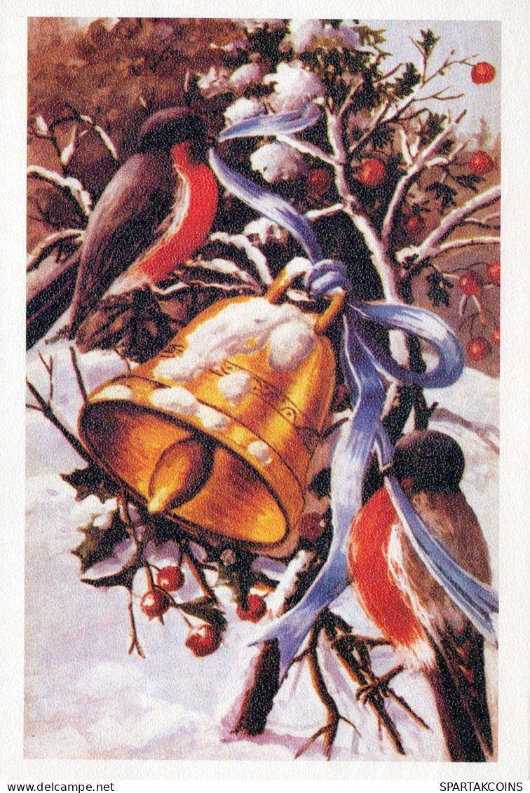 UCCELLO Animale Vintage Cartolina CPSM #PAM925.IT - Oiseaux