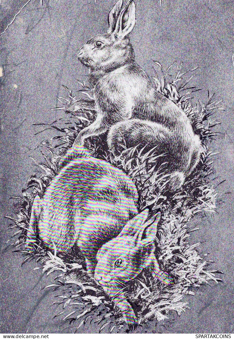 RABBIT Animals LENTICULAR 3D Vintage Postcard CPSM #PAZ162.GB - Otros & Sin Clasificación