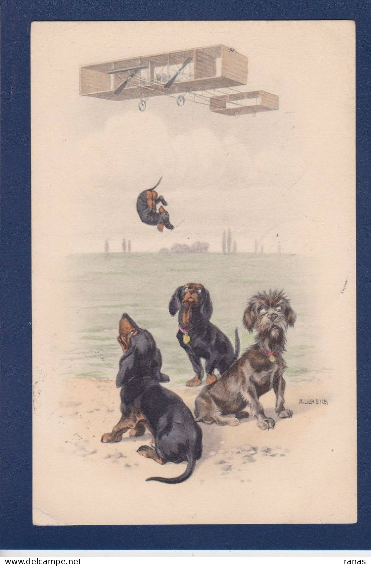 CPA Chien Aviation Teckel Dackel Dachshund Circulée Vienne Viennoise Munk Ulreich - Perros