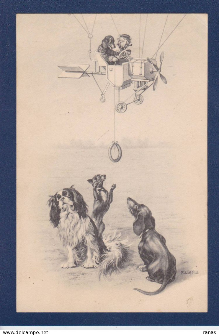 CPA Chien Aviation Teckel Dackel Dachshund écrite Vienne Viennoise Munk Ulreich - Dogs