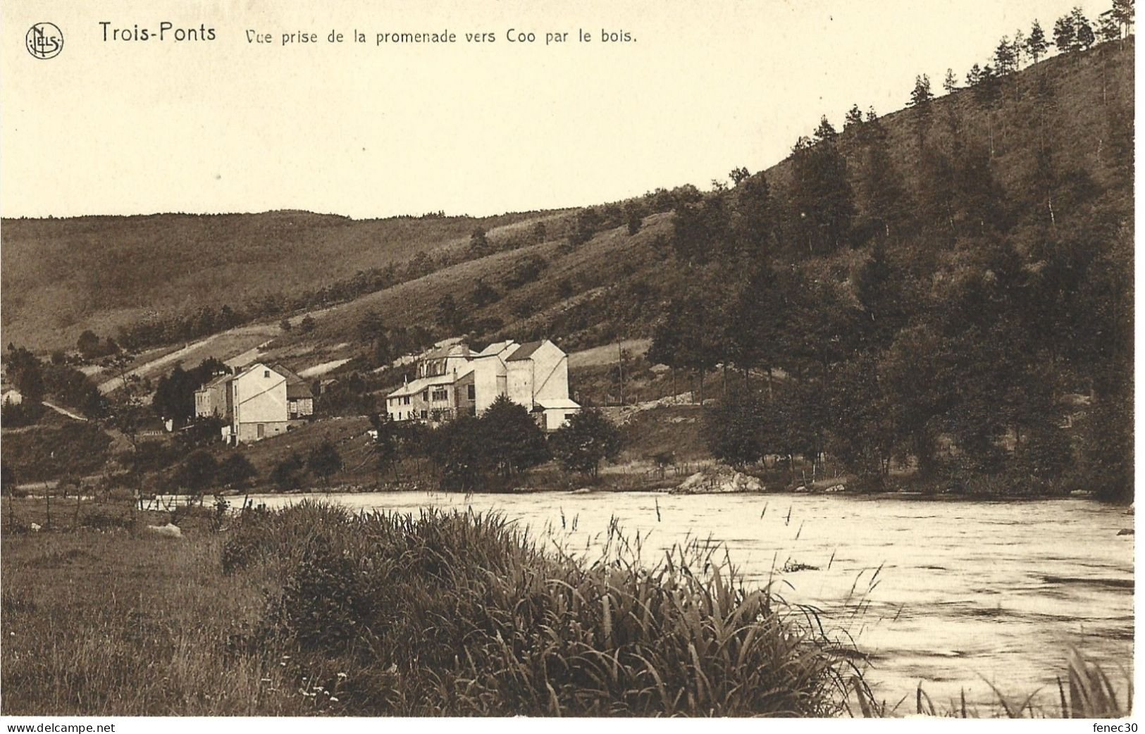 Belgique Trois Ponts Vue Prise De La Promenade Vers Coo Par Le Bois - Andere & Zonder Classificatie