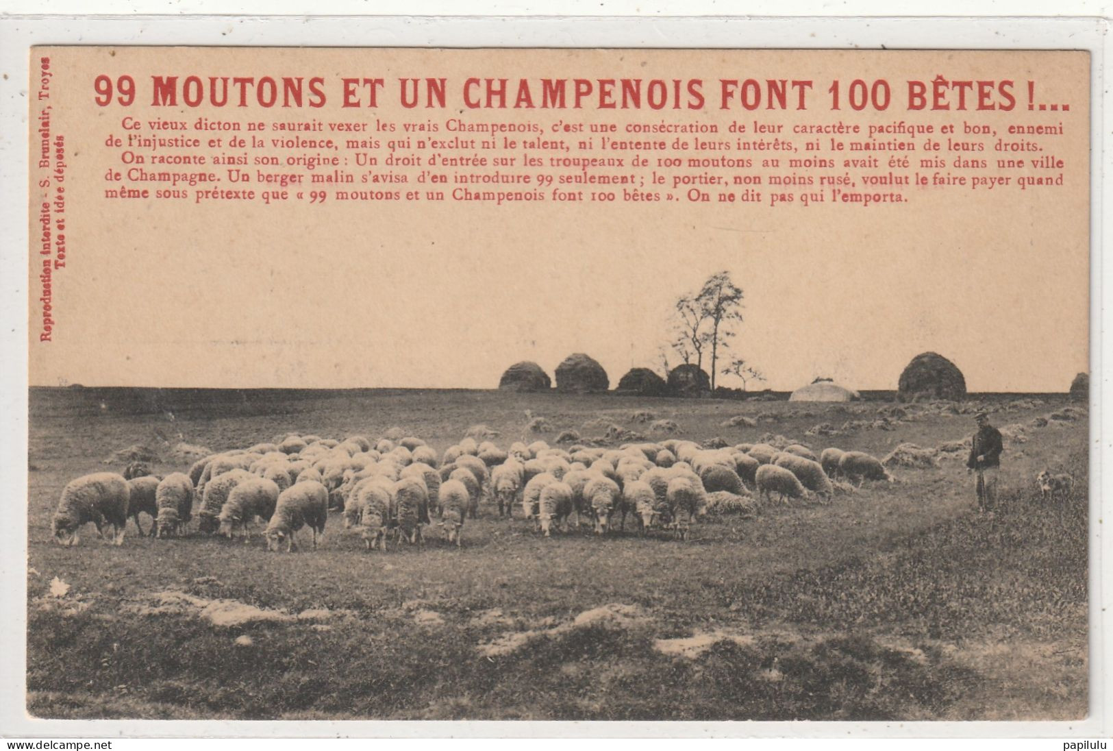 373 DEPT 51 : édit. S Brunelair , Vieux Dicton : 99 Moutons Et Un Champenois Font 100 Bêtes - Sonstige & Ohne Zuordnung