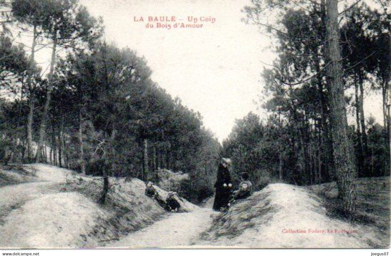 44 LA BAULE - Un Coin Du Bois D'Amour - La Baule-Escoublac