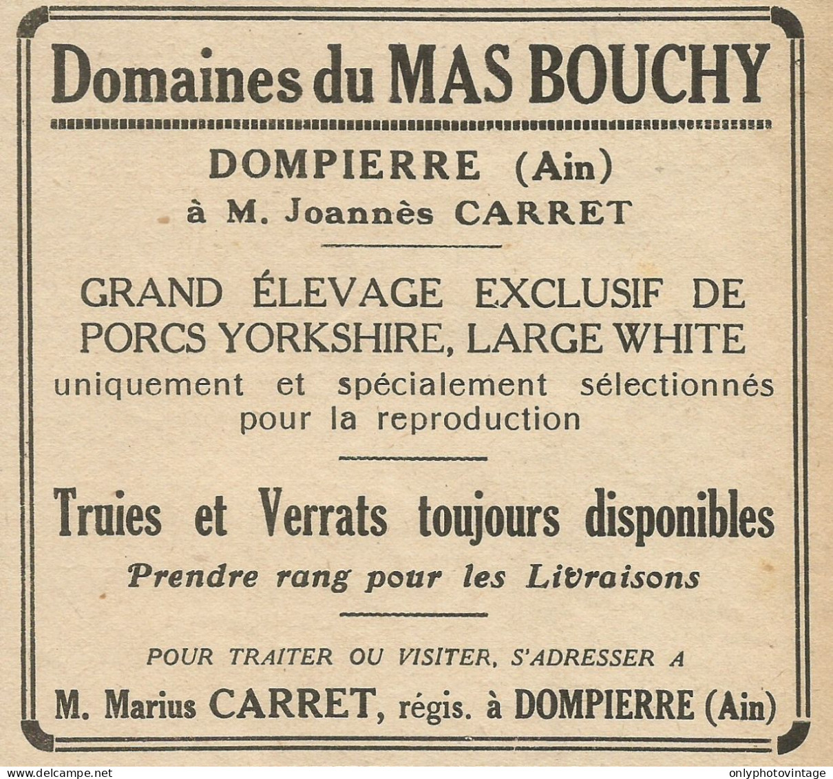 Elevage De Porcs Yorkshire - Domaines Du MAS BOUCHY - Pubblicità 1928 - Werbung