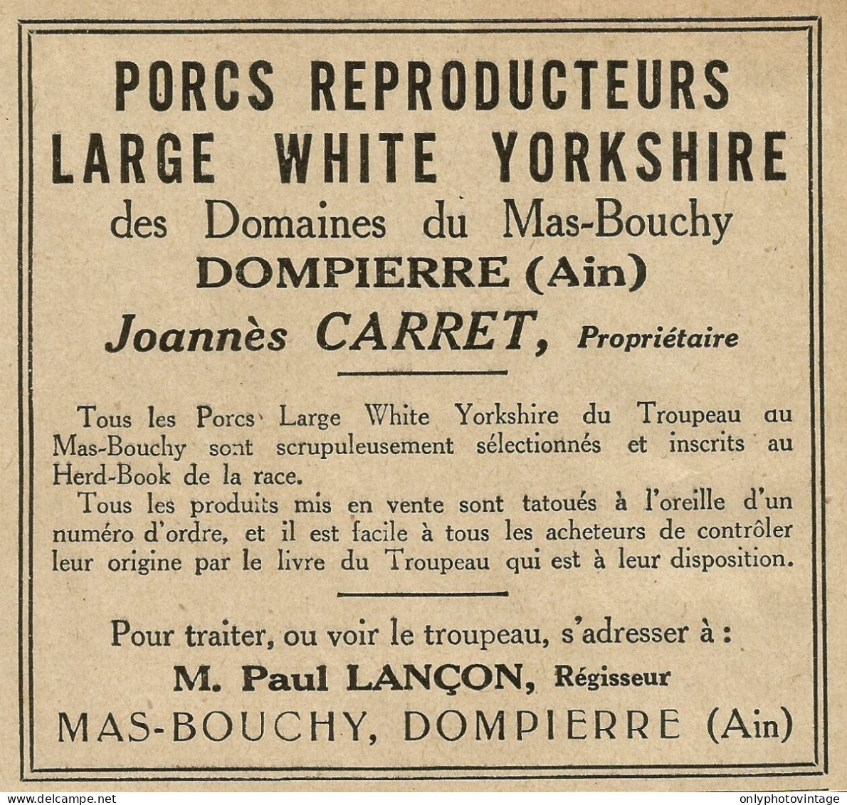 Porc Reproducteurs Large White Yorkshire CARRET - Pubblicità 1929 - Advert - Pubblicitari