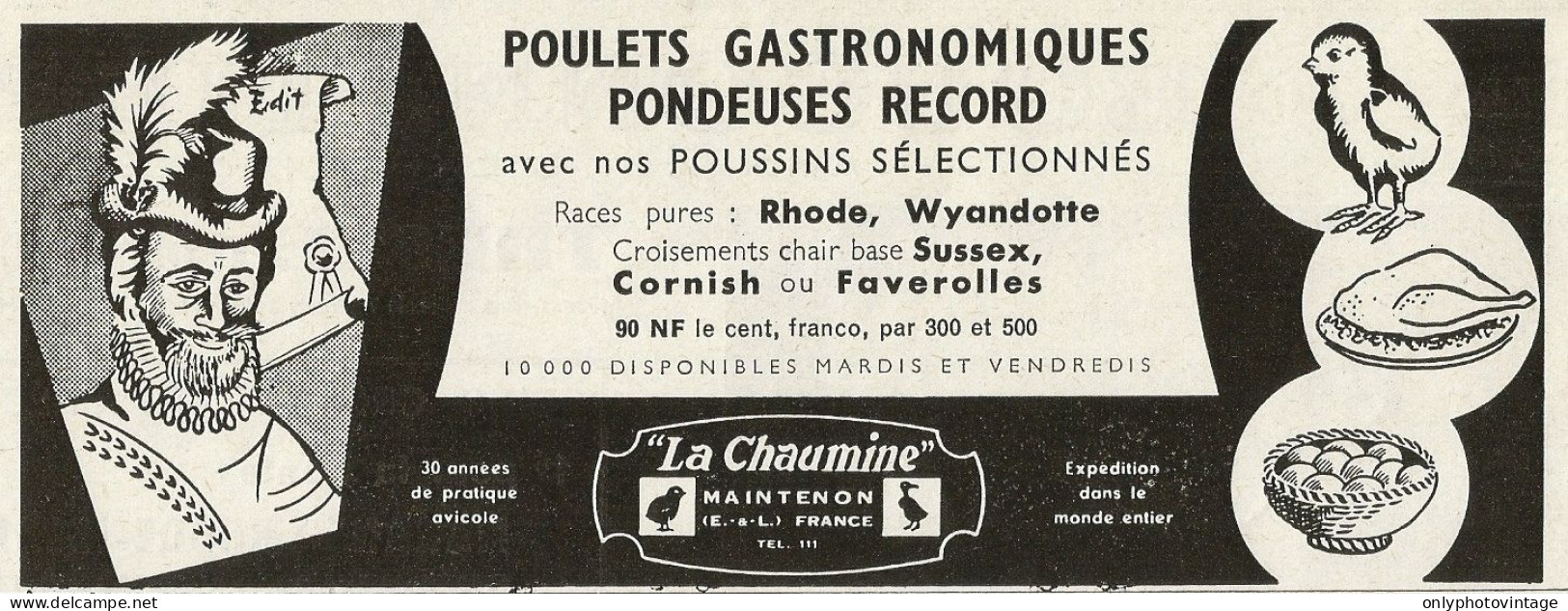 Poulets Gastronomiques Pondeuses Record LA CHAUMINE - Pubblicità 1961 - Advertising